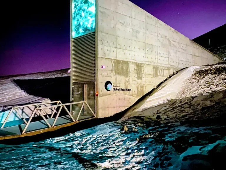 Entrance_to_the_Seed_Vault