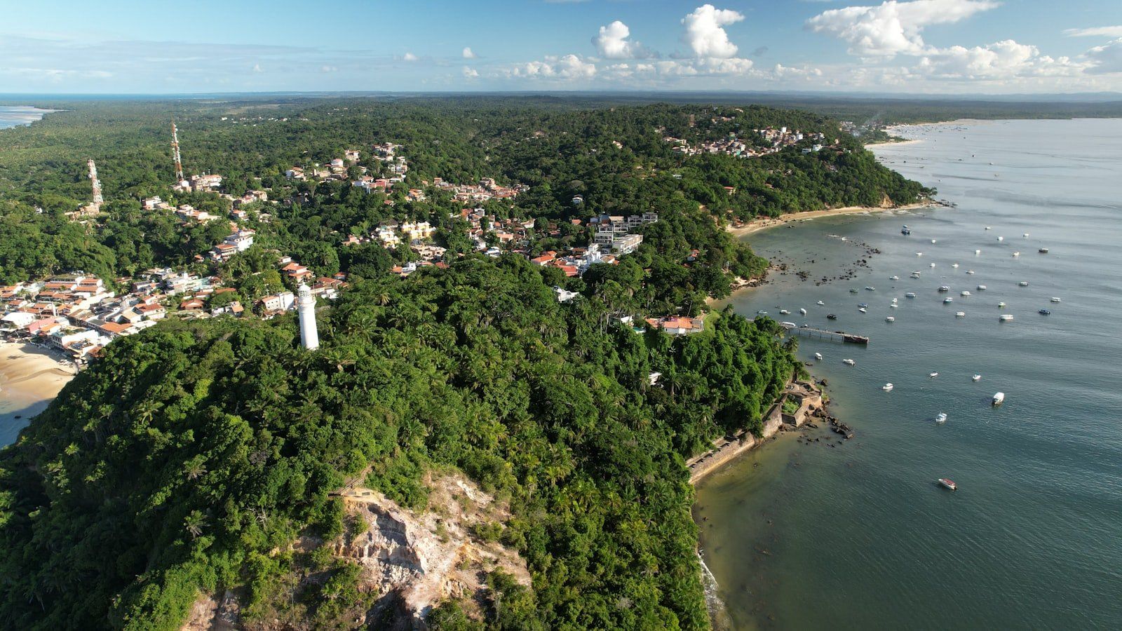 Vista aérea de playa caribeña con aguas turquesas, arrecifes de coral y palmeras tropicales