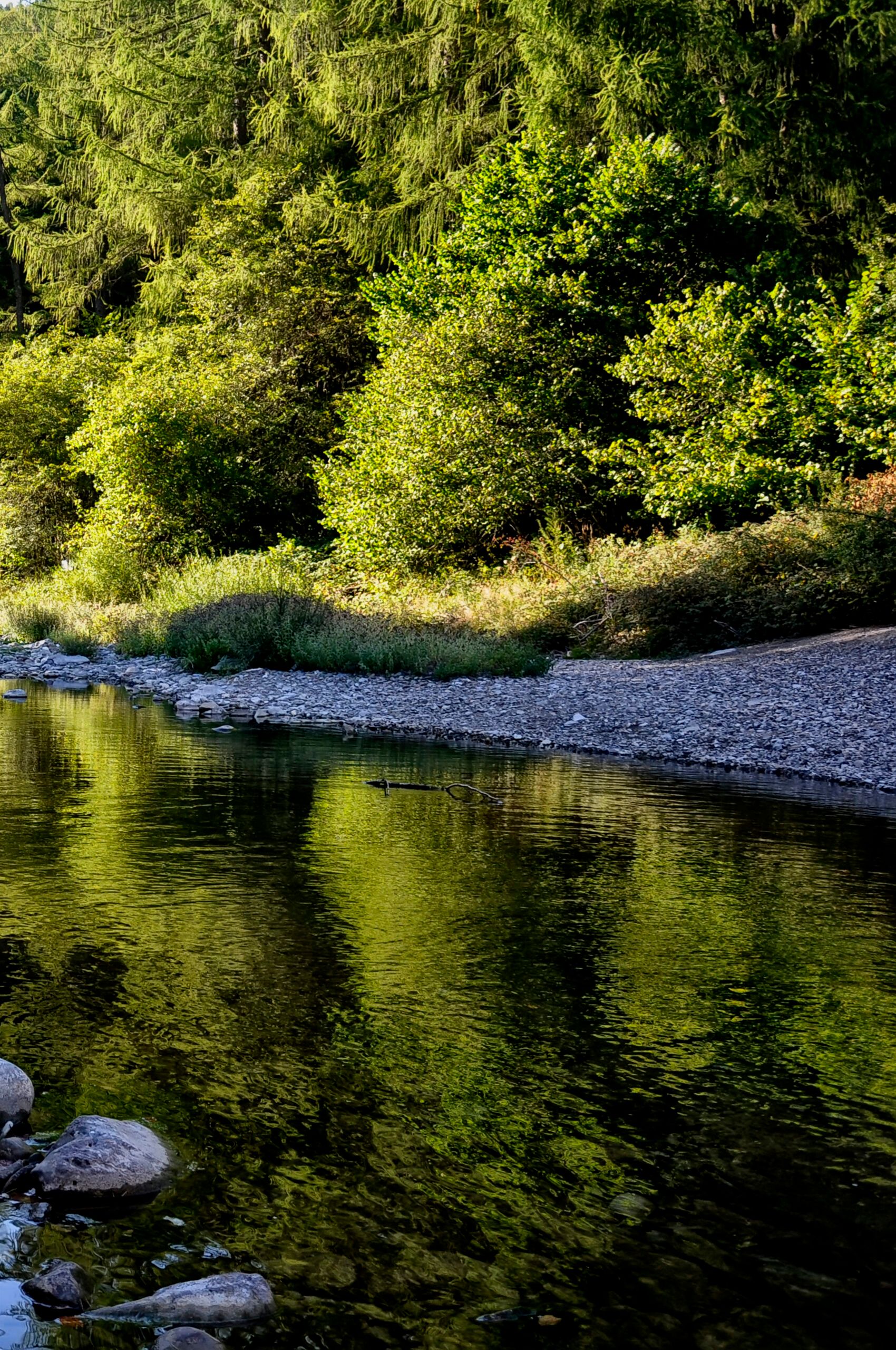 SELVA DE IRATI 4.jpg