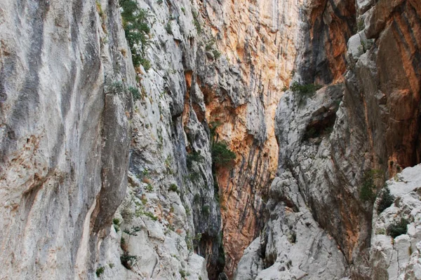 Supramonte: Gorropu y Cala Luna