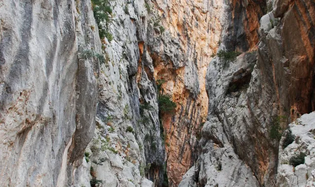 Supramonte : Gorropu et Cala Luna