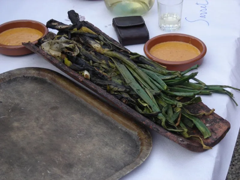 Calçots, Valls, Tarragona