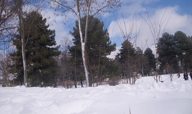 atlas-medium-ifrane-azrou-cedros