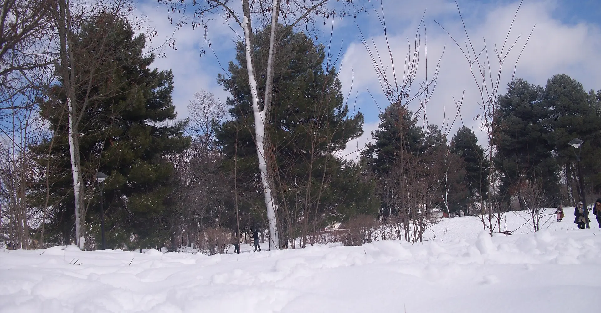 atlas-medium-ifrane-azrou-cedros