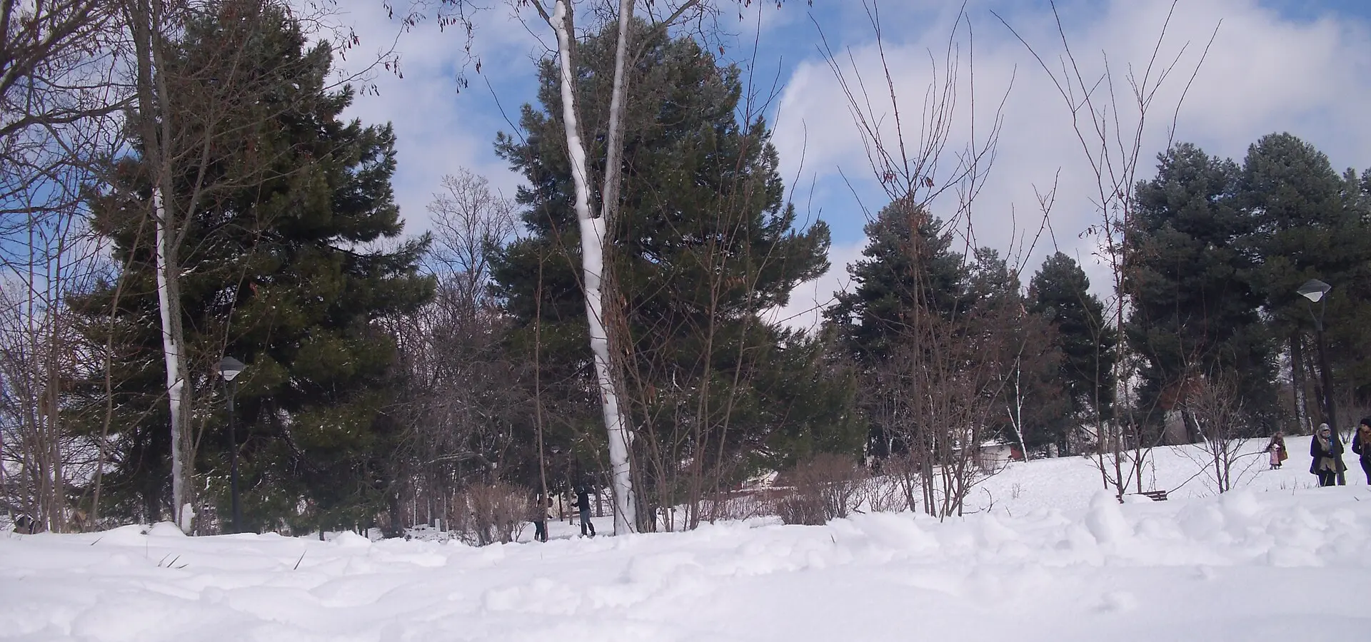 atlas-medio-ifrane-azrou-cedros