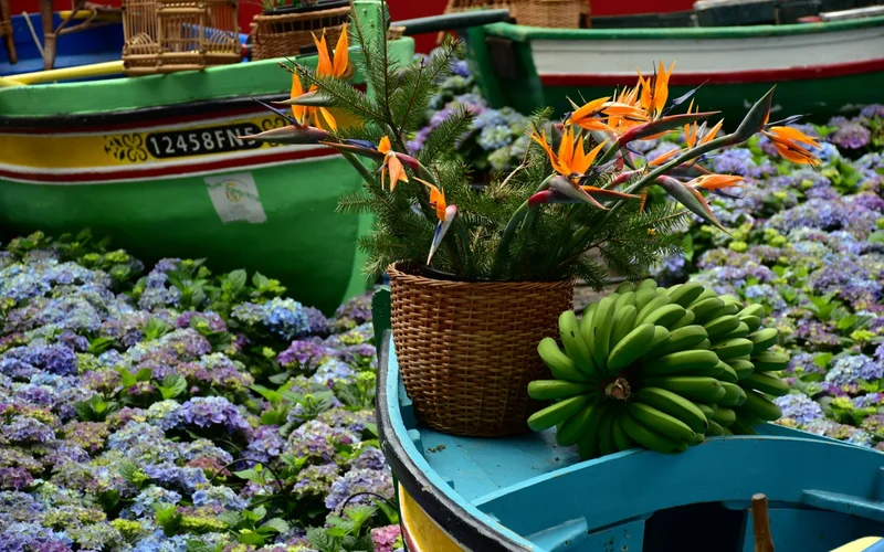 Barcas de pesca decoradas con flores de ave del paraíso, hortensias y plátanos verdes.