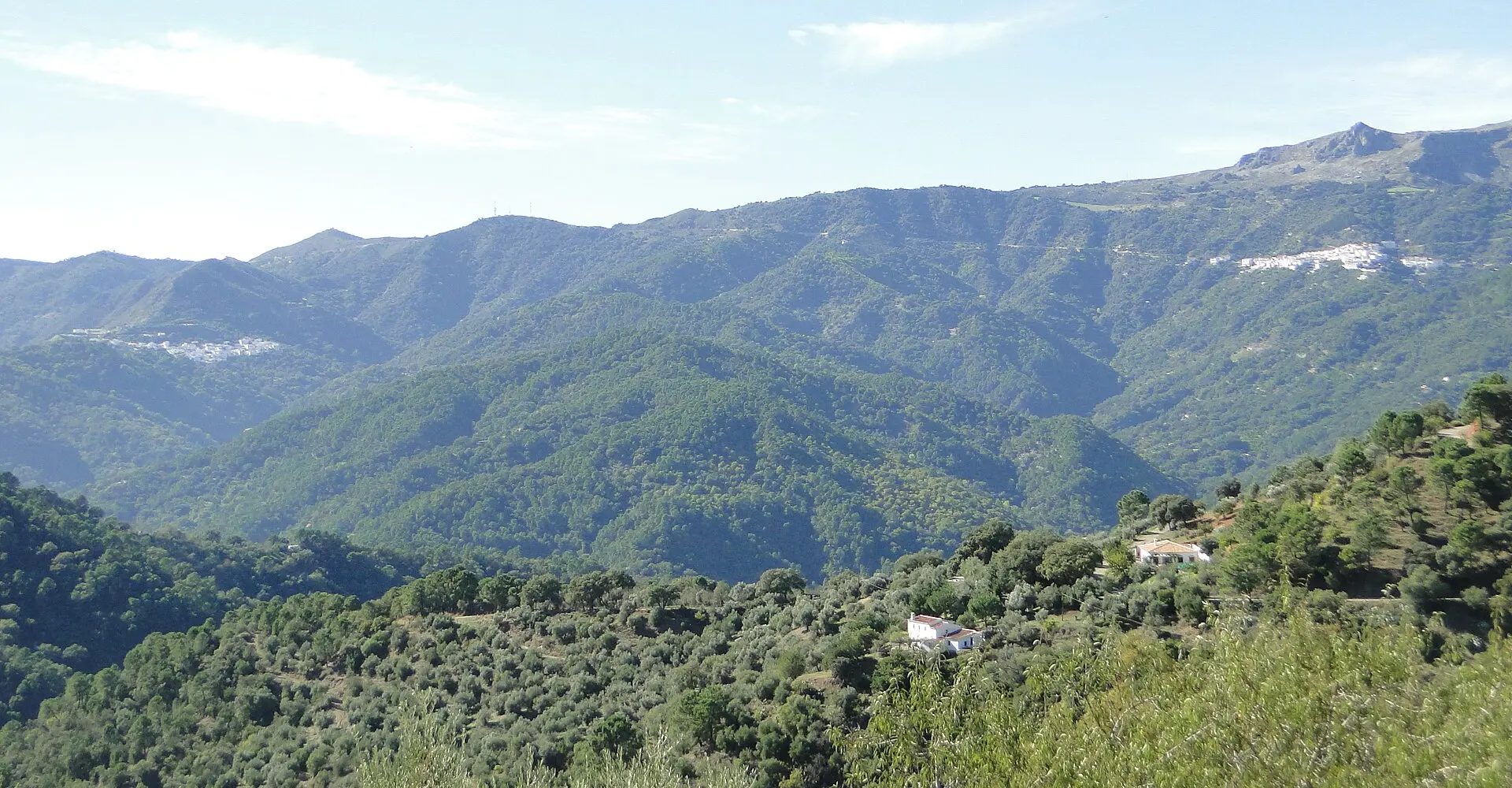 La vallée du Genal vue de Jubrique, avec des villages blancs sur les versants