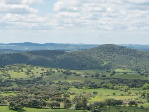 La Sierra de Aracena et les villages du jambon