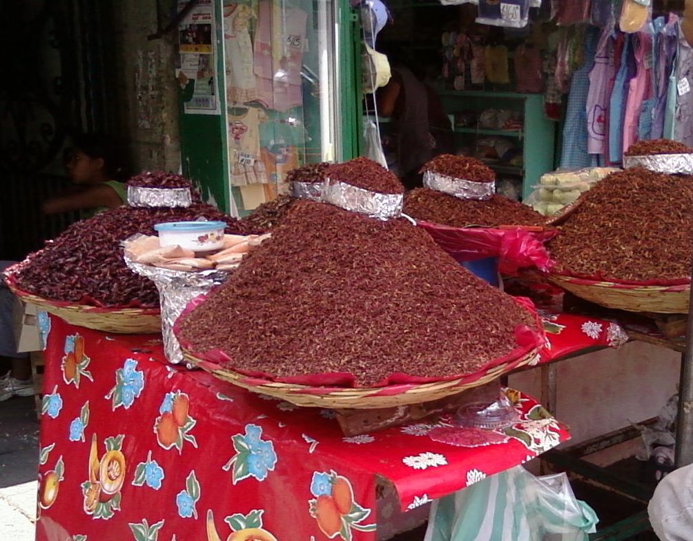 Chapulines, Oaxaca