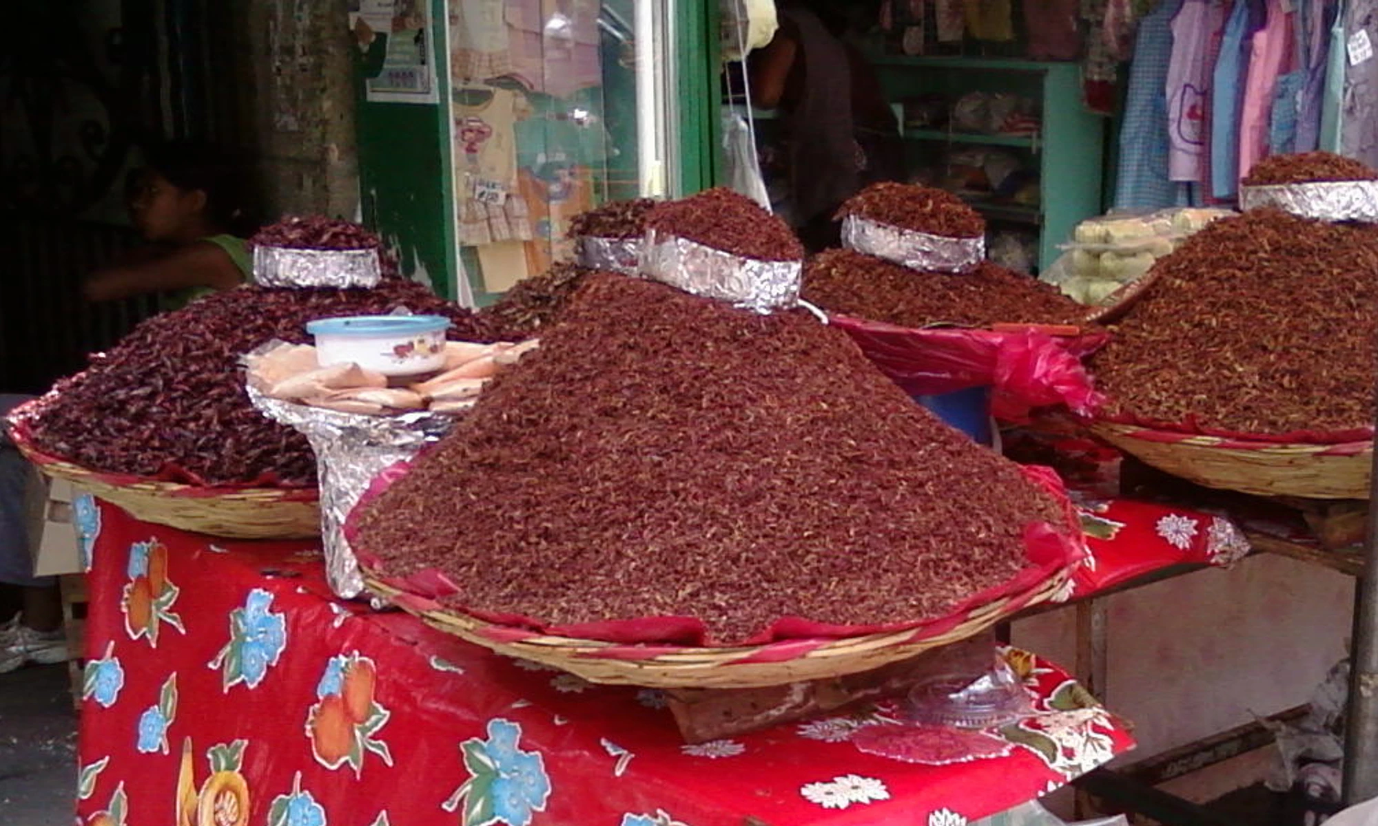 Chapulines, Oaxaca