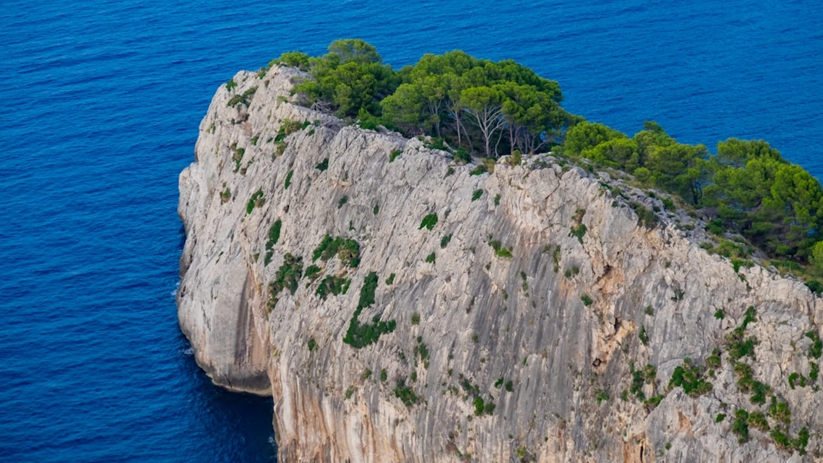 a small island in the middle of a body of water