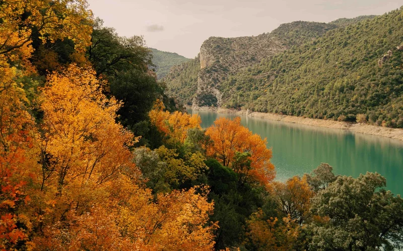 Paisaje otoñal con árboles de hojas doradas y verdes junto a un río de agua turquesa.