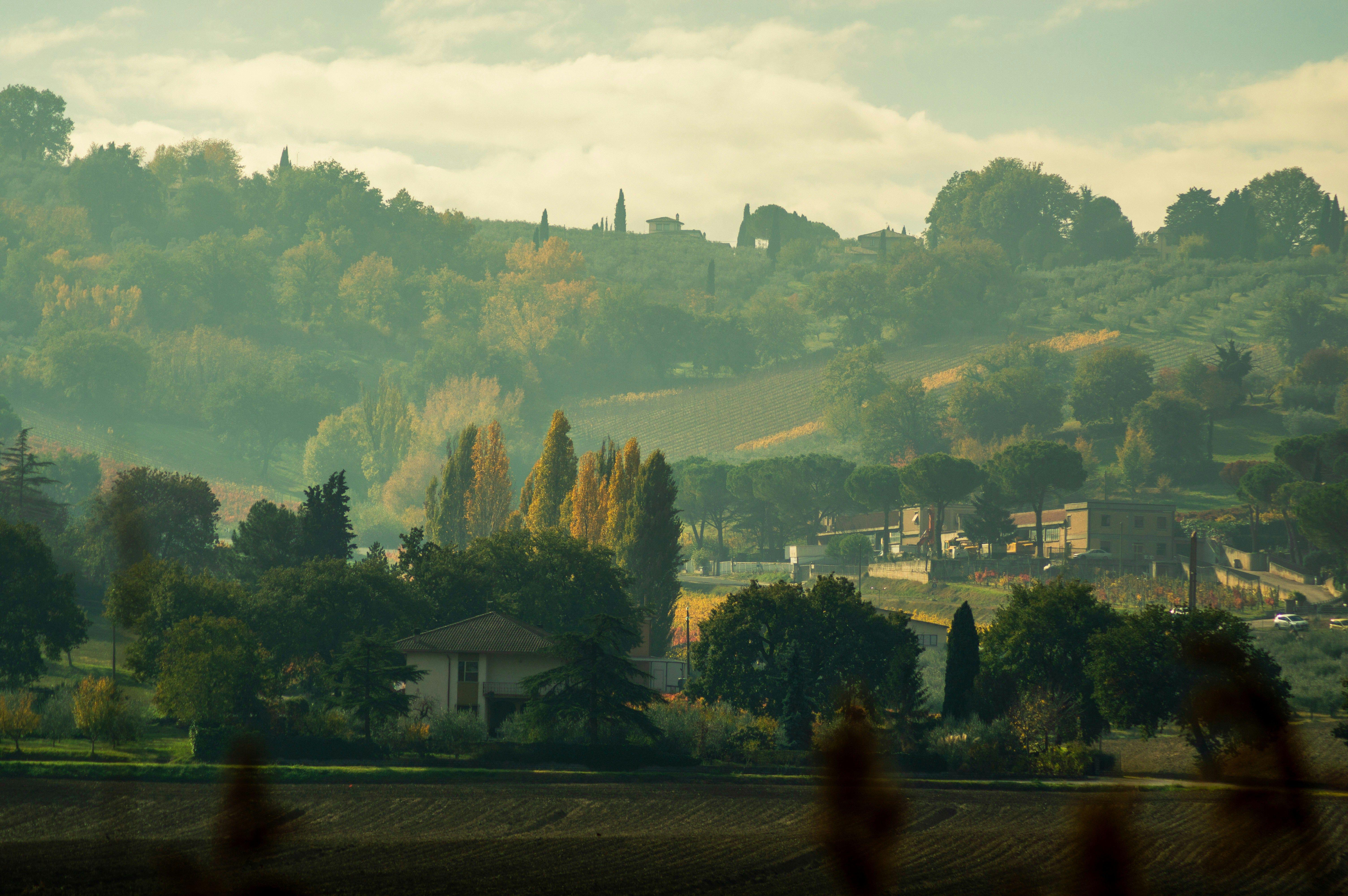 Paisaje otoñal de colinas con árboles de tonos verdes y amarillos, casas y campos labrados.
