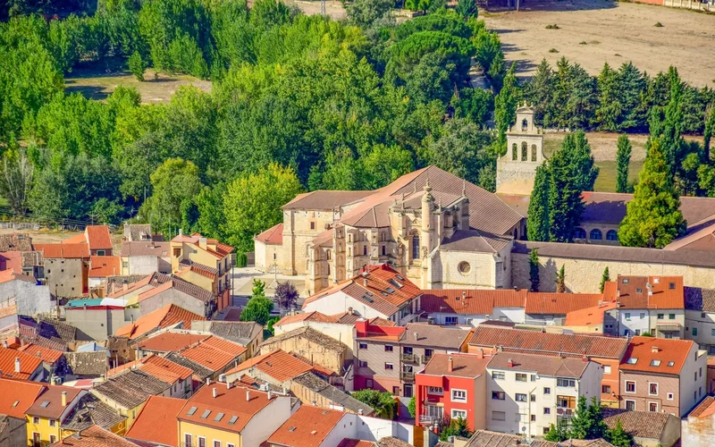 Vista aérea de un paisaje urbano con tejados naranjas y edificios históricos rodeados de árboles.