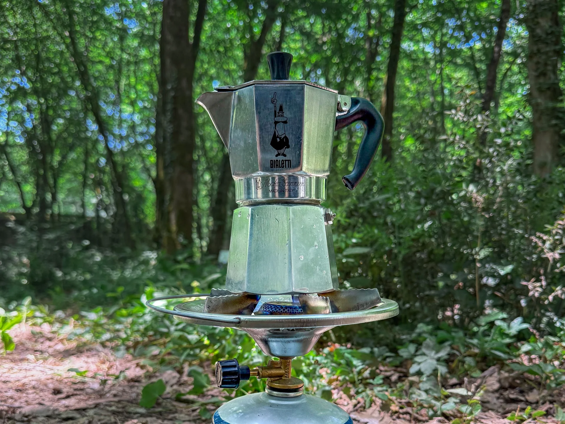 Cafeteras Italianas Bialetti: Moka Clásica vs Venus para Inducción 2026