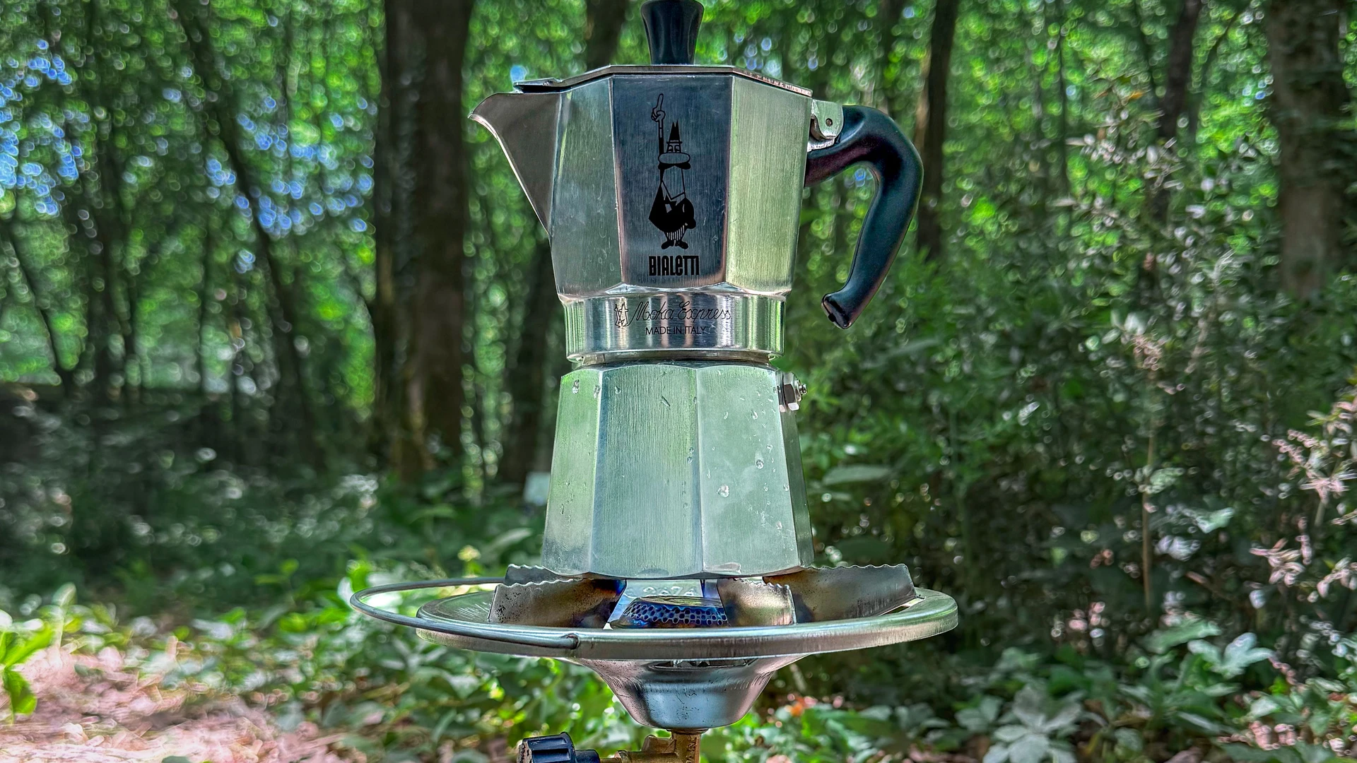 Cafeteras Italianas Bialetti: Moka Clásica vs Venus para Inducción 2026