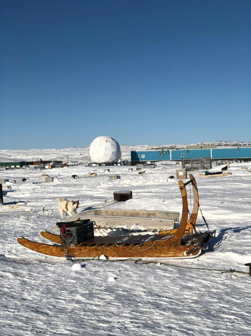Trineo tradicional en asentamiento ártico