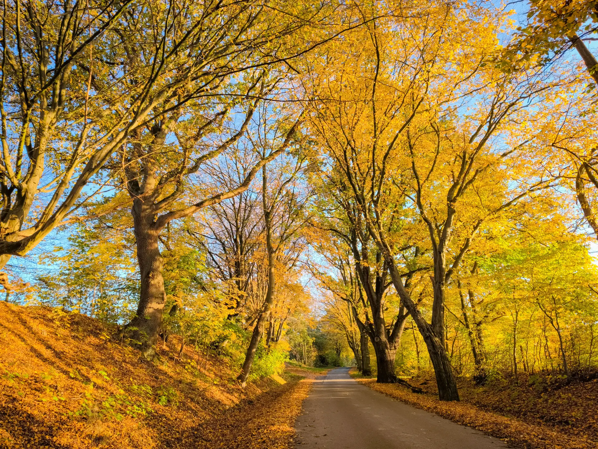 Dónde viajar en octubre: colores de otoño y festivales