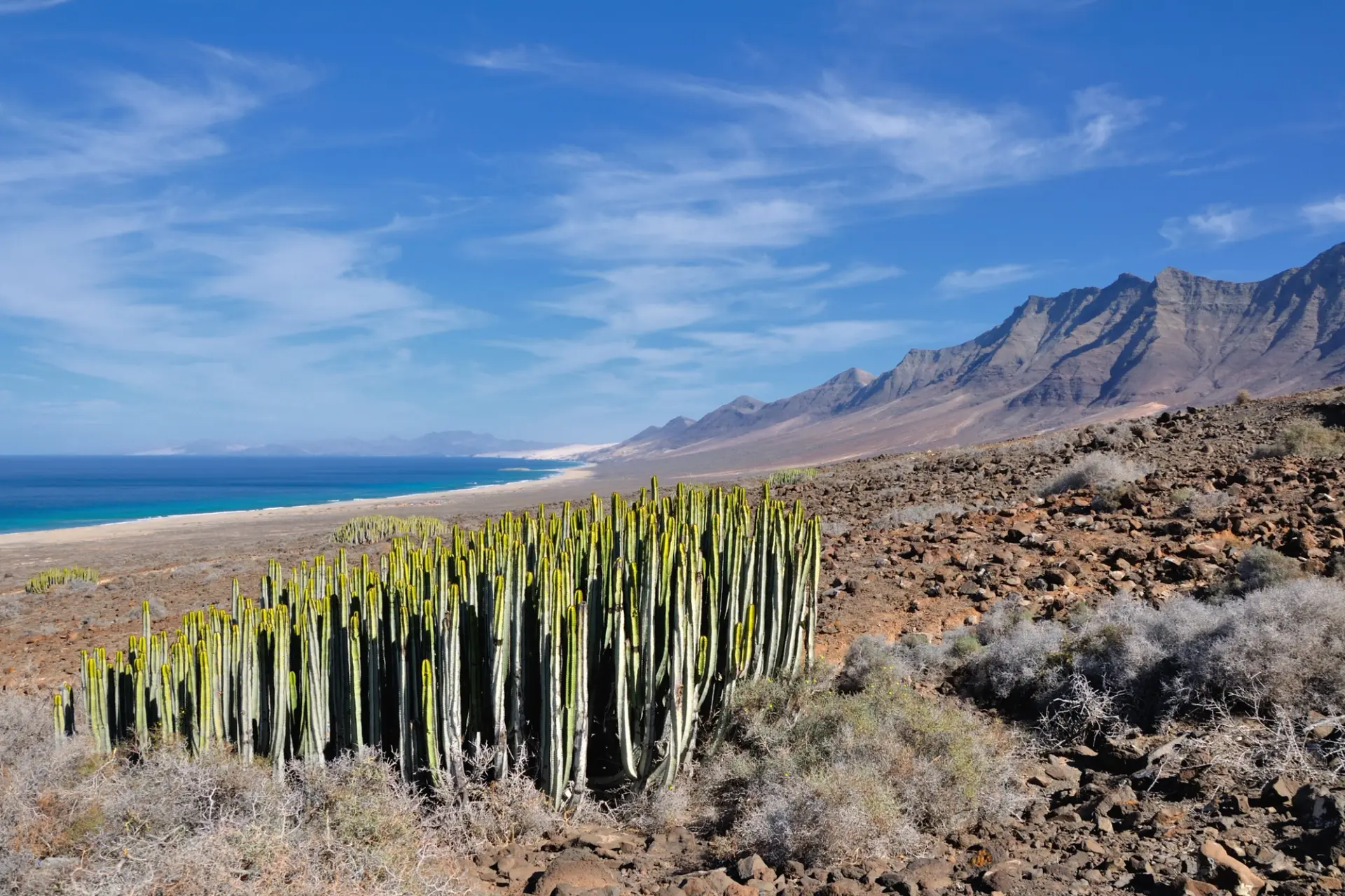 Fuerteventura en 48 Horas: Paraíso Atlántico de Contrastes Infinitos