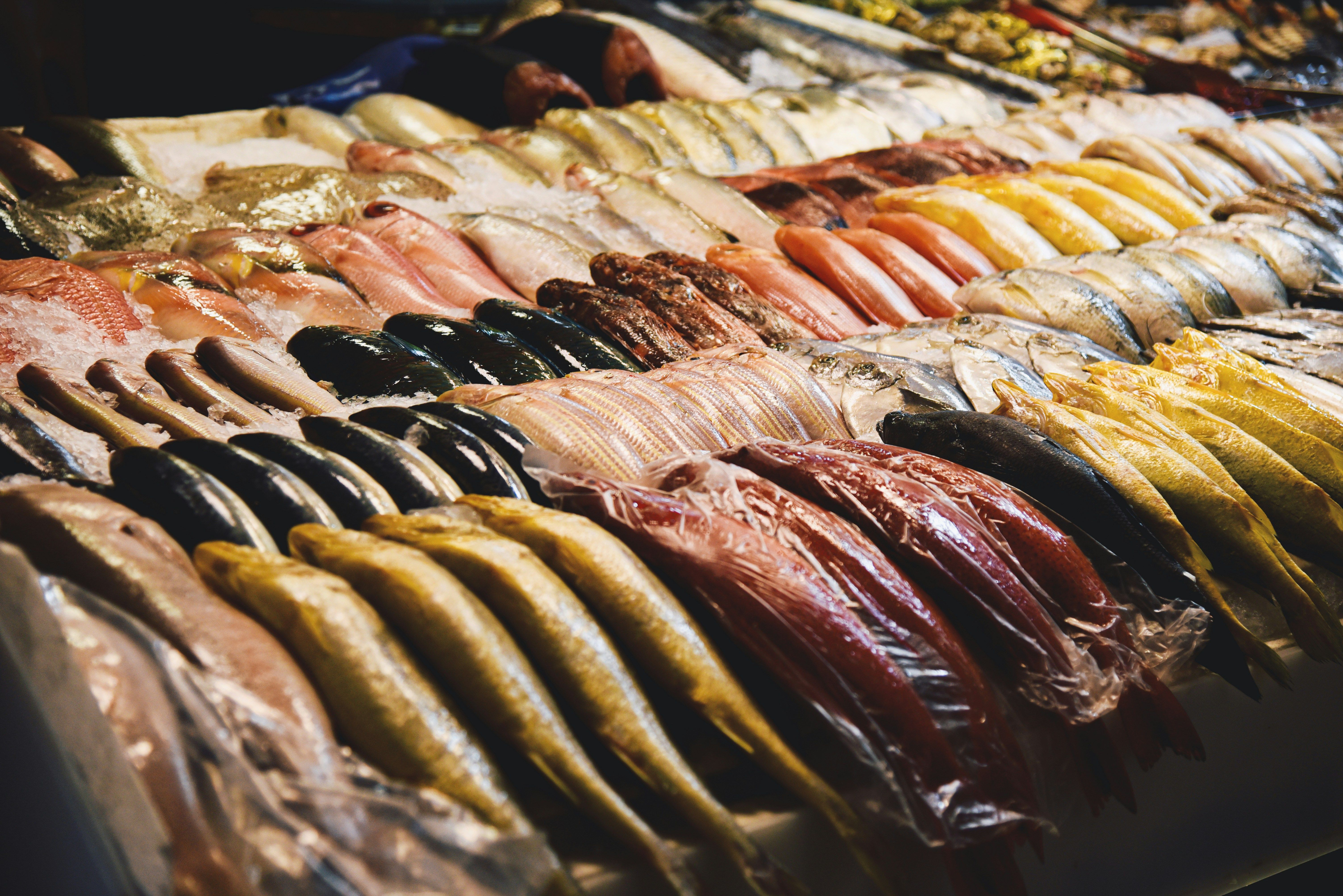 Variedad de pescados frescos de diferentes colores y tamaños exhibidos en un mercado.