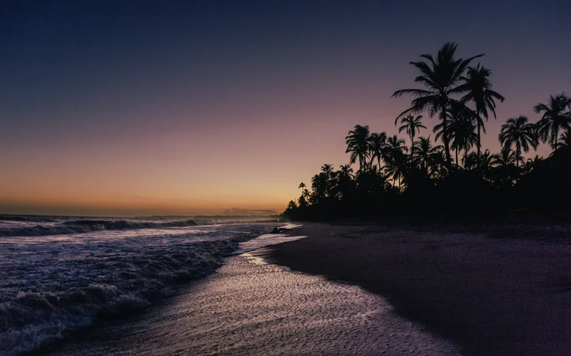 Atardecer en la playa de Palomino con palmeras silueteadas y olas del mar Caribe