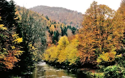Navarra