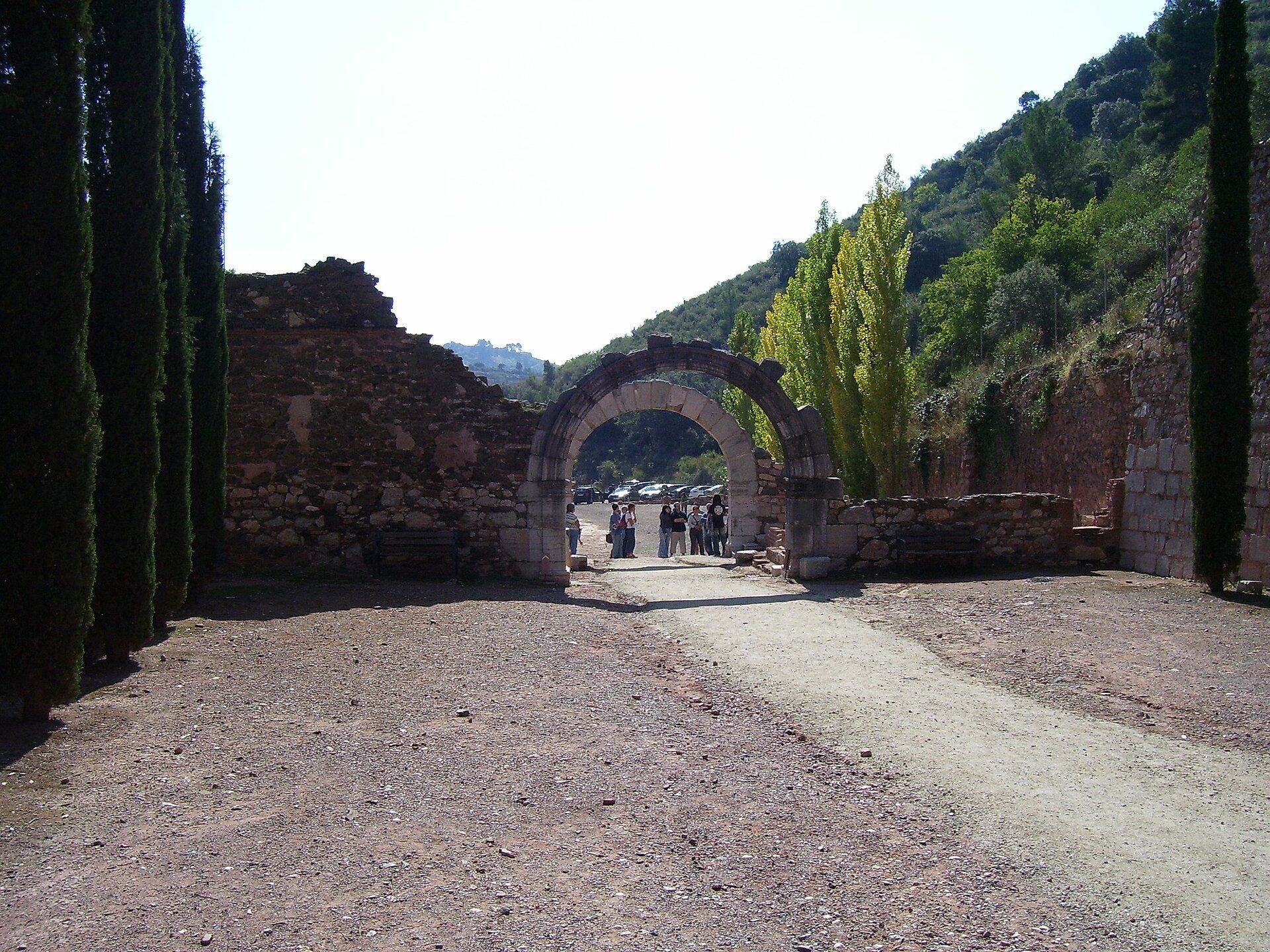 Priorat: viñedos y carreteras curvas
