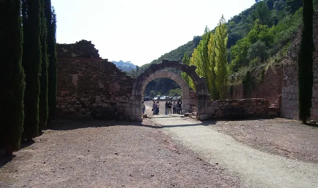 Priorat : vignobles et routes sinueuses