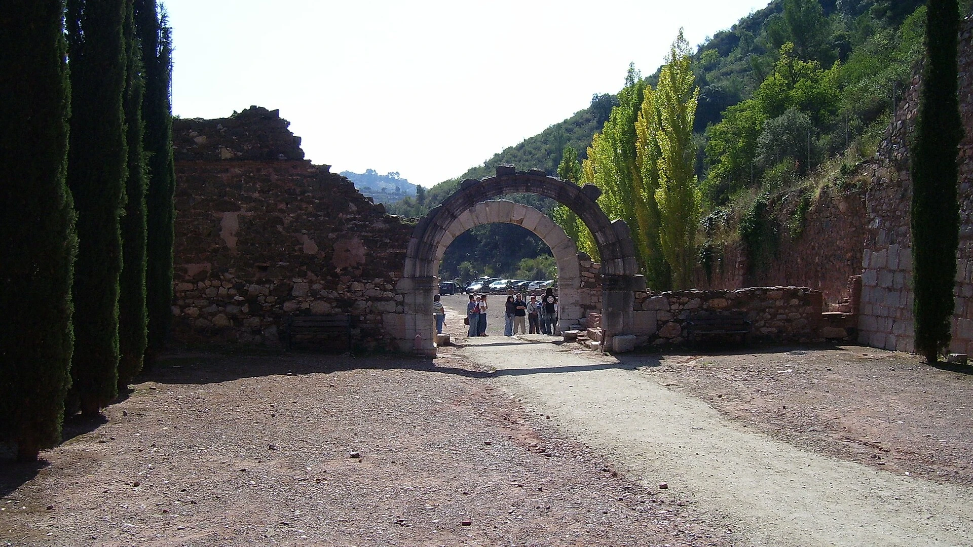 Priorat: viñedos y carreteras curvas