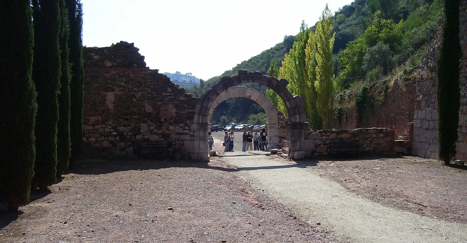 Priorat : vignobles et routes sinueuses