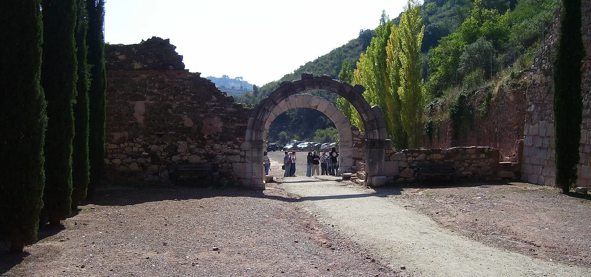 Priorat: vineyards and winding roads