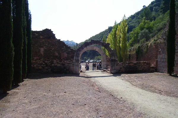 Priorat: viñedos y carreteras curvas