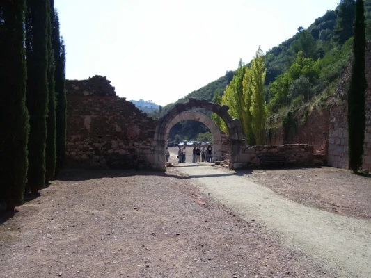 Priorat: vineyards and winding roads
