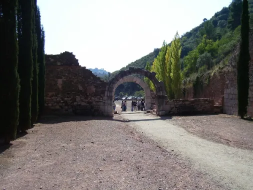 Priorat : vignobles et routes sinueuses