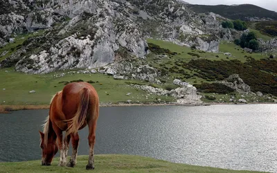 Asturias