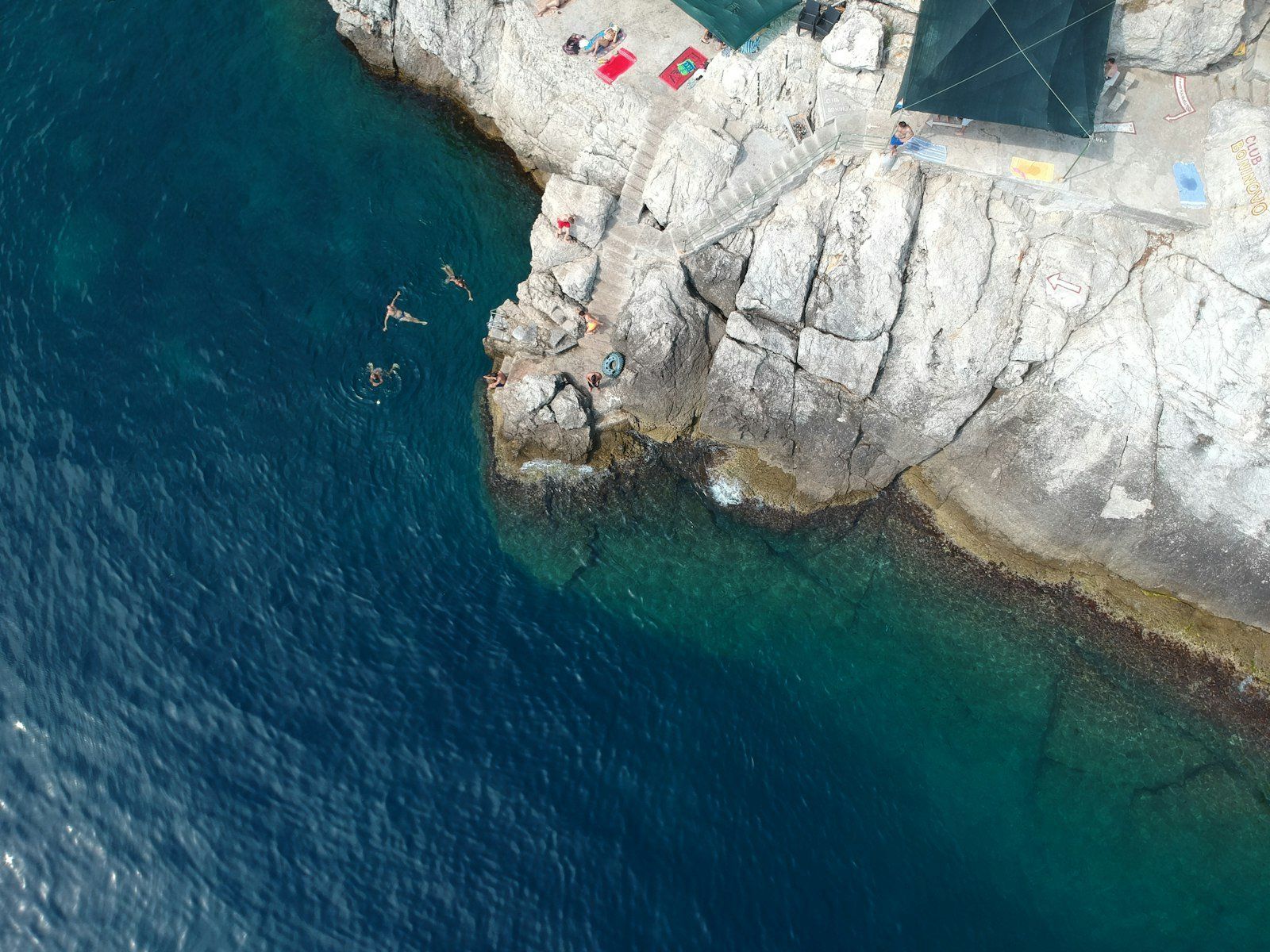 a group of people swimming in a body of water