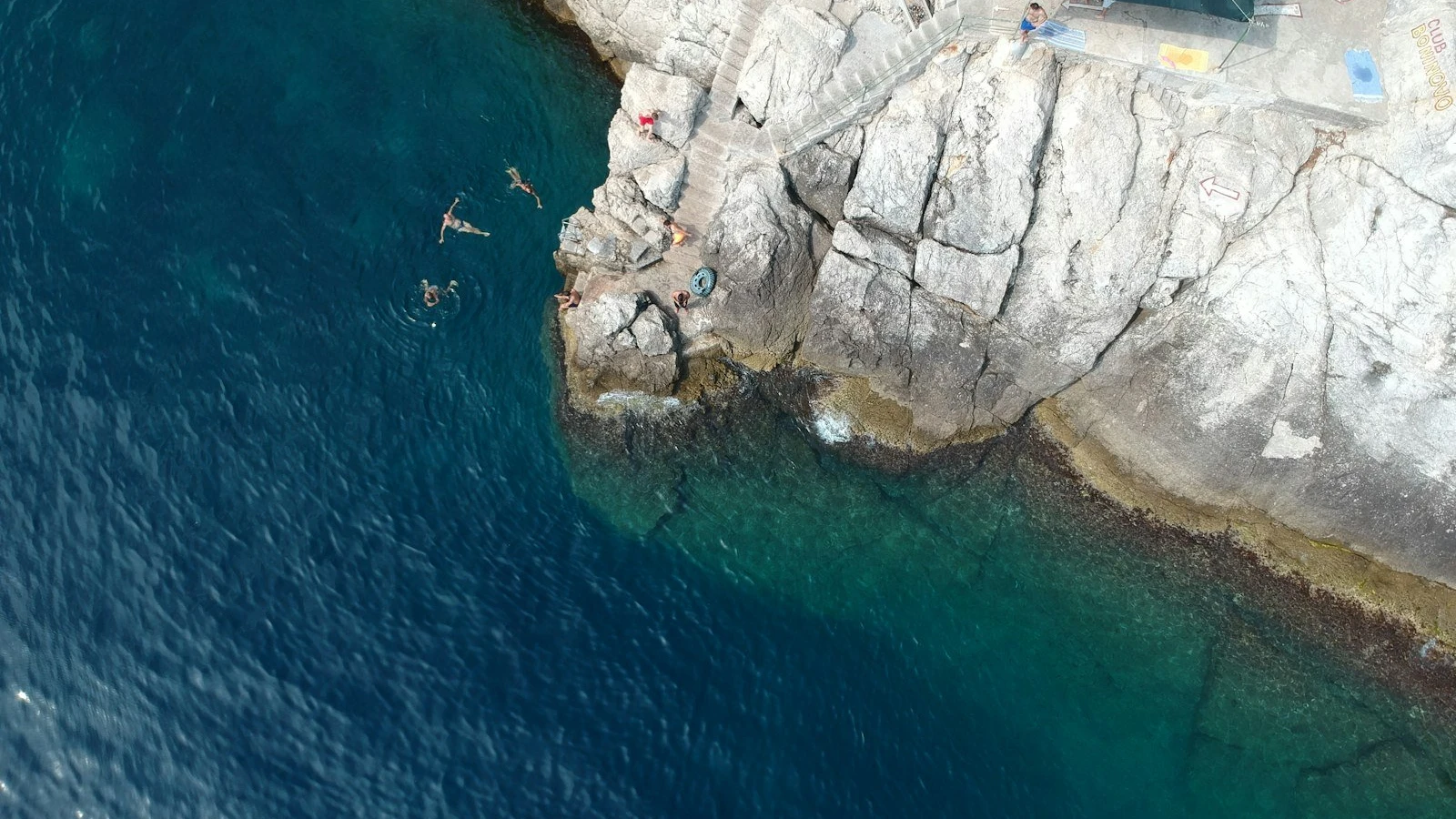 a group of people swimming in a body of water