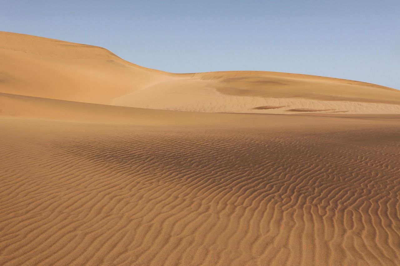 Grandes dunas de arena dorada bajo un cielo azul claro, con patrones ondulados en la arena.