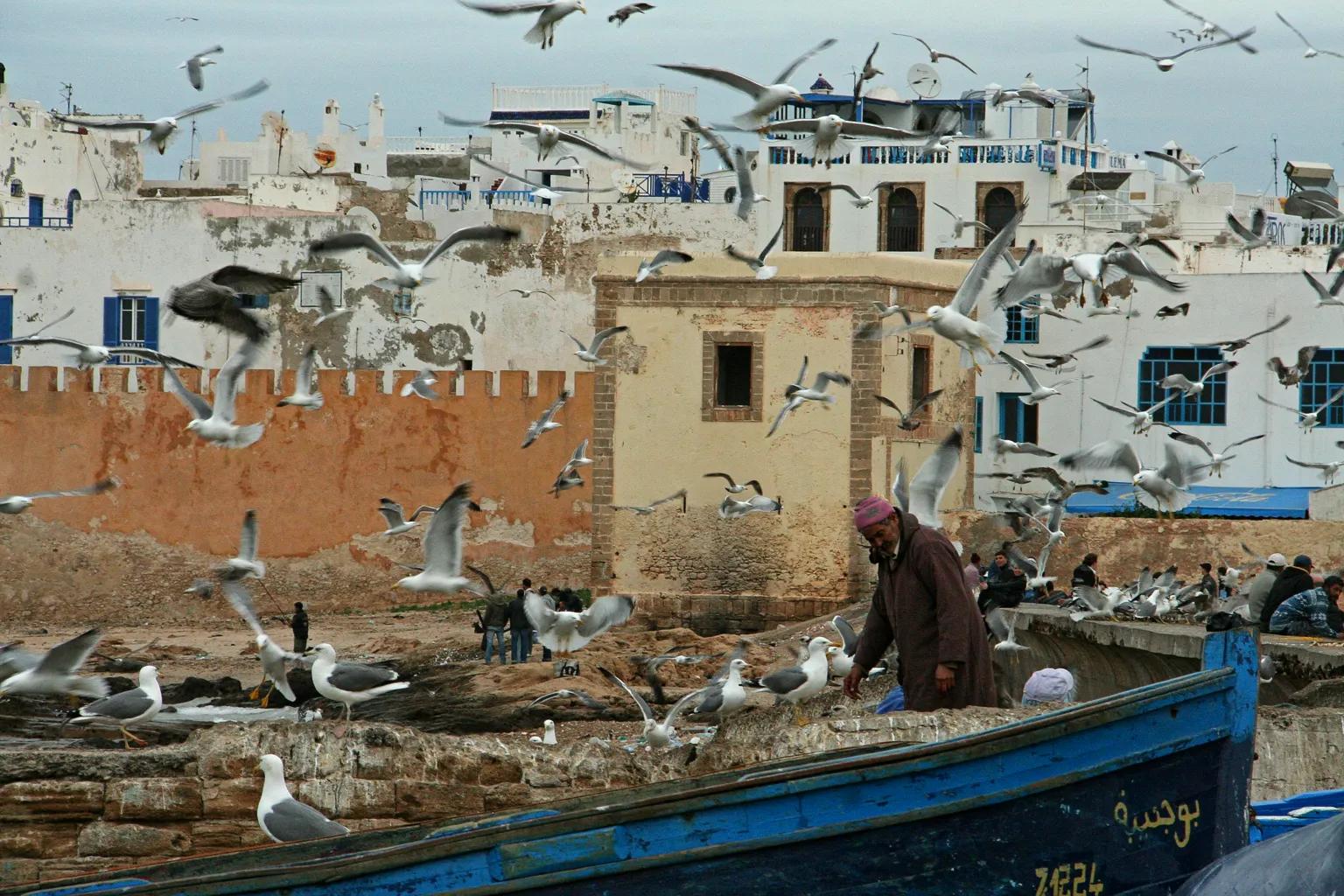 Arte y Cultura - una experiencia inolvidable - Essaouira guia para perderse entre la brisa atlántica, el arte y la histori...