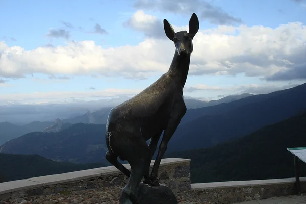 Puerto de San Glorio y Fuentes de Invierno