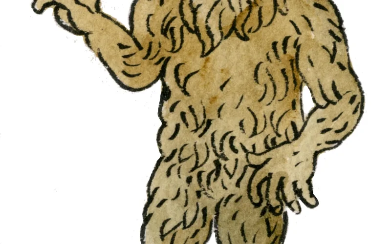 Ilustración de acuarela de una criatura peluda y humanoide con dientes afilados y expresión feroz.