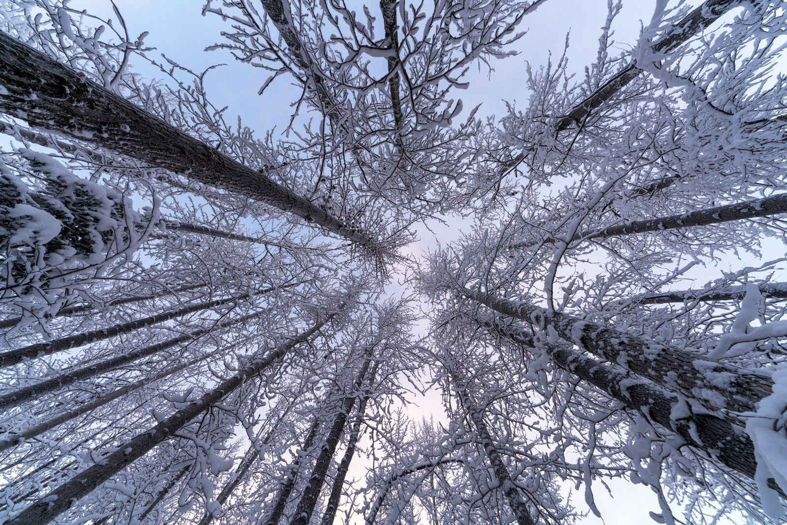 Landscape sample shot taken with the Tamron 12-20mm f/2.8 (A084), official Tamron ambassador Ian Plant capture in the field