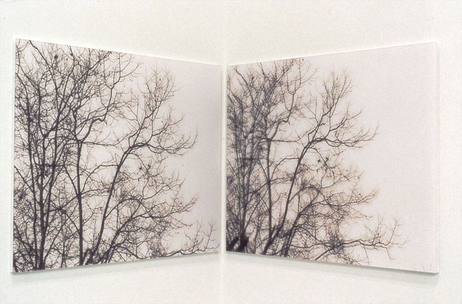 Uta Barth 写真集 White Blind (Bright Red) tanyabonakdargallery-uta-barth