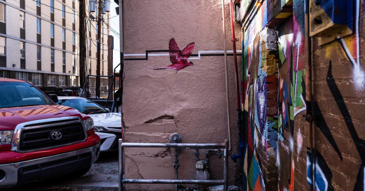 SITE SANTA FE | Exhibition | Nani Chacon