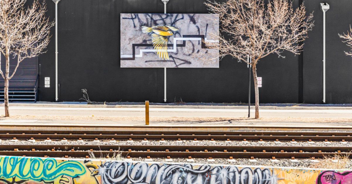 SITE SANTA FE | Exhibition | Nani Chacon