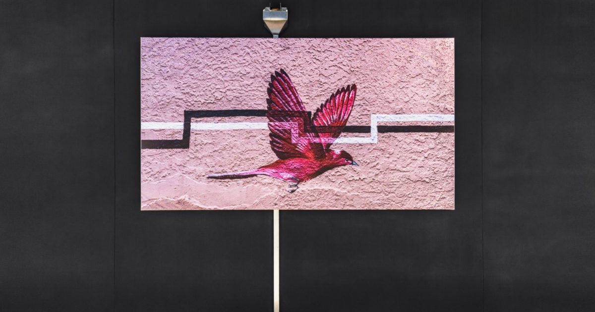 SITE SANTA FE | Exhibition | Nani Chacon