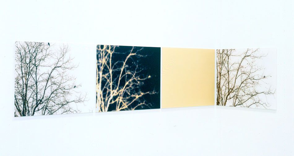 Uta Barth 写真集 White Blind (Bright Red) SITE SANTA FE | Exhibitions | Uta Barth