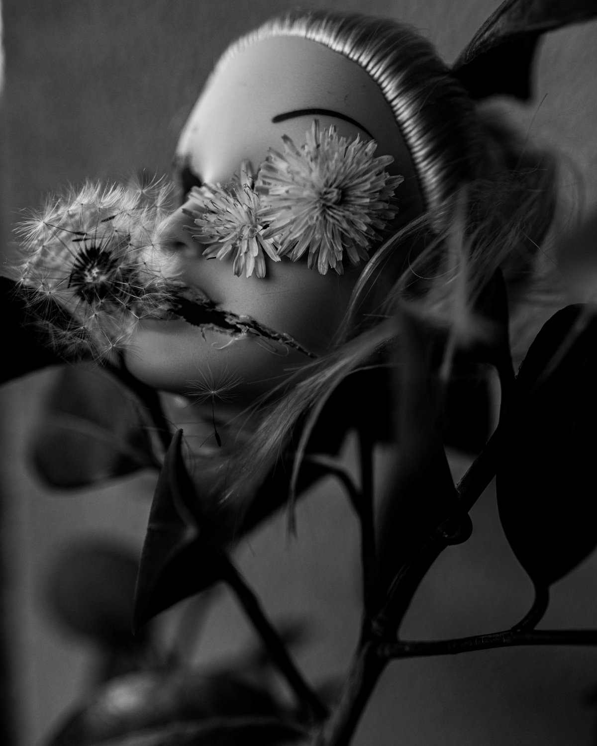 A doll's face with dandelions over its eyes and a seed head at its torn mouth.