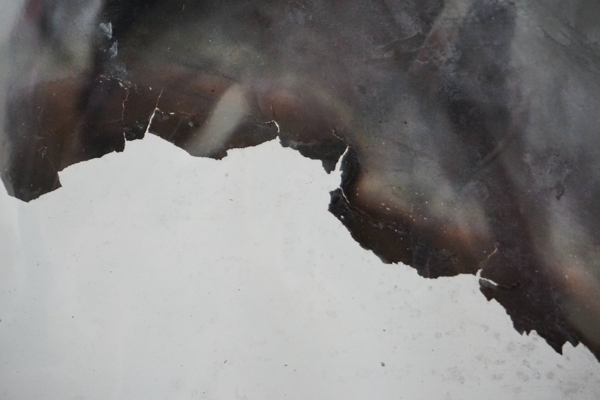 Close detail of a burned edge, black char crossing pale paper.