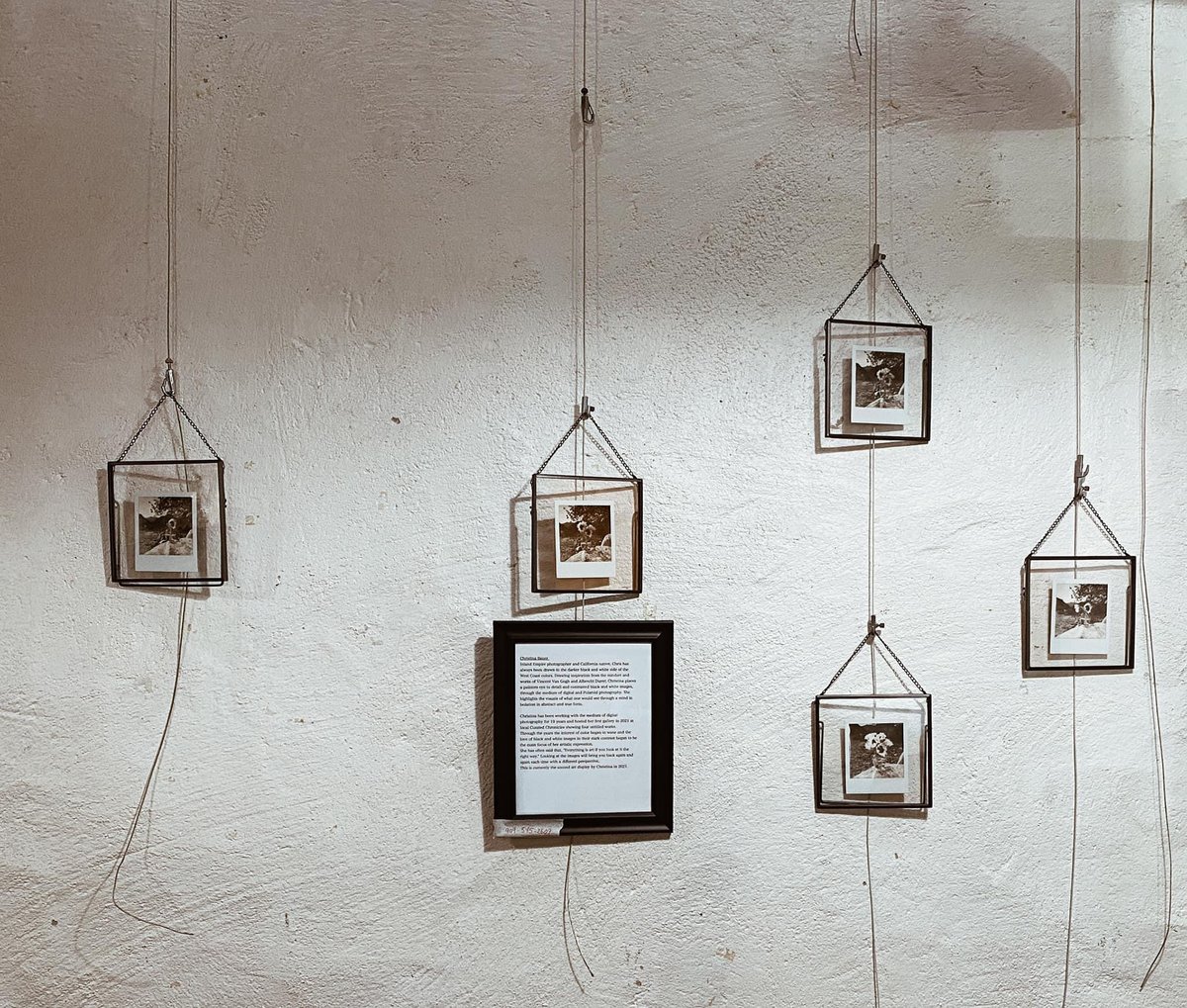 Installation view: five small framed photographs hung on wires against a rough white wall, with a framed text panel.